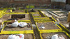 Image #3 | Ruxley House